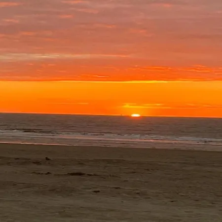 In Belgium With Private Terrace Lejlighed