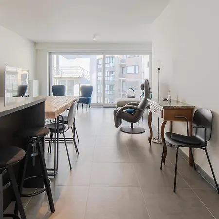 Appartement In Belgium With Private Terrace Ostende